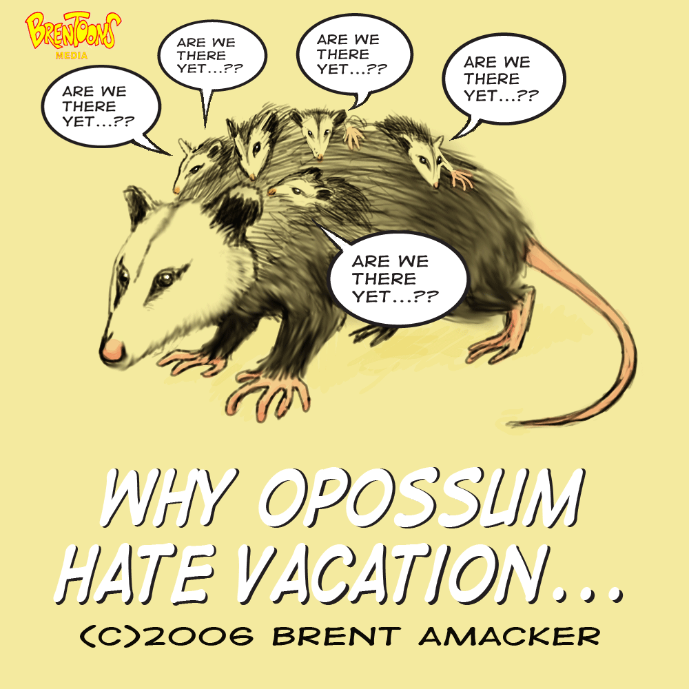 Why Opossum Hate Vacation